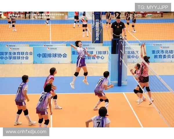 成都排球队的盯防战术解析与深度剖析排球竞技的魅力与挑战