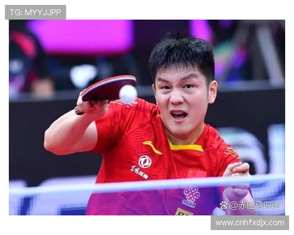 成都乒乓球队荣登全国灵活性排行榜第二名展现卓越实力与潜力