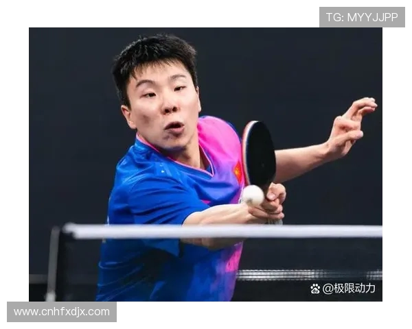 杭州乒乓球队荣登全国速度排行榜第三名展现强劲实力与潜力 杭州乒乓球队荣登全国速度排行榜第三名展现强劲实力与潜力