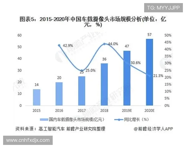 武汉篮球队的控制策略与发展前景深度分析