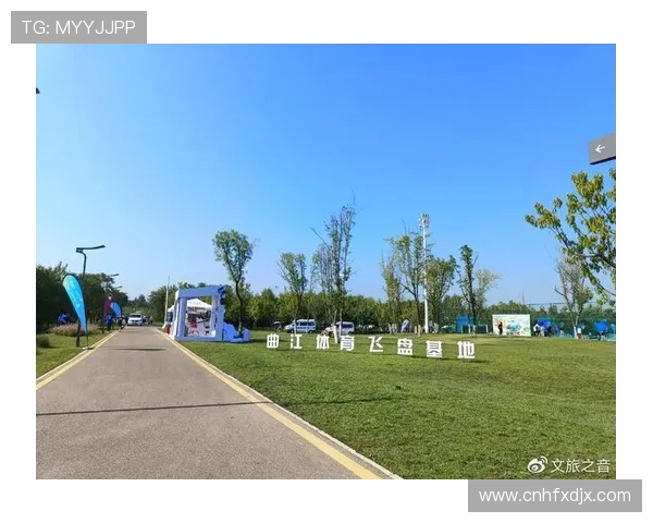 西安飞盘队实力对比深度解析与战术优势探讨