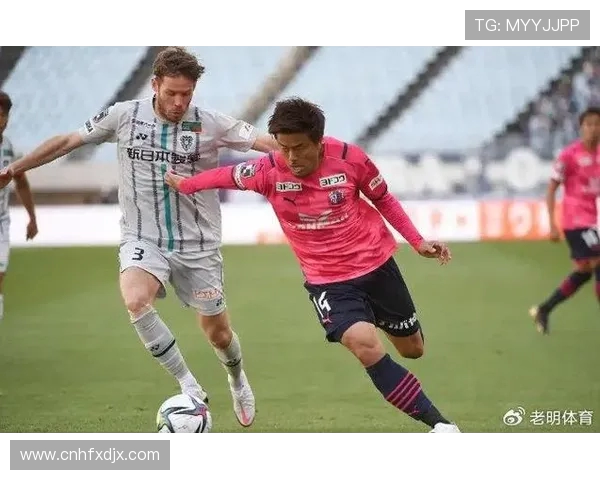 福冈黄蜂与东京绿茵激战正酣比分揭晓精彩瞬间回顾