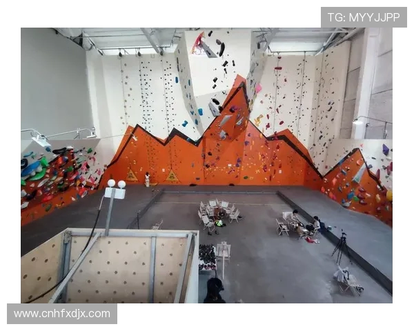 南京攀岩队在极限运动嘉年华中的灵活性表现与精彩瞬间分析